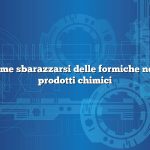 Domanda: Come sbarazzarsi delle formiche nell’orto senza prodotti chimici