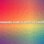 Domanda: come si coltiva il cavolo