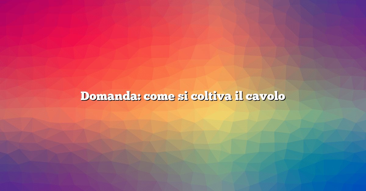 Domanda: come si coltiva il cavolo