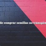 Dónde comprar semillas no transgénicas