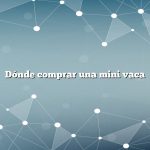 Dónde comprar una mini vaca