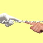 Pregunta: ¿Cuántas remolachas por pie cuadrado?