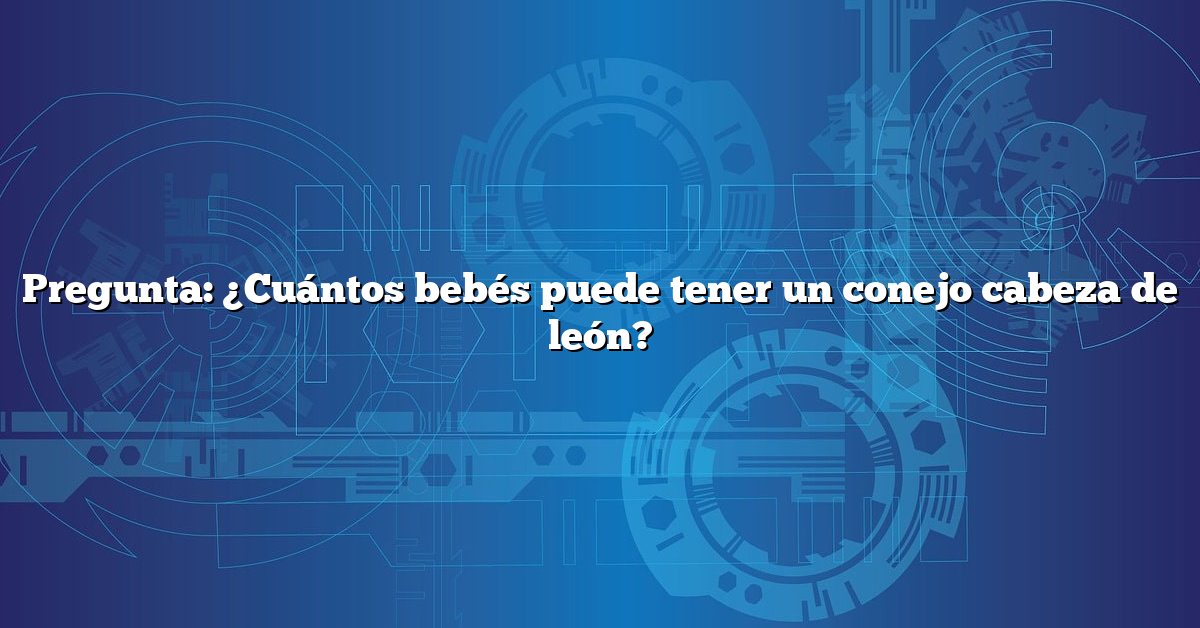 Pregunta: ¿Cuántos bebés puede tener un conejo cabeza de león?