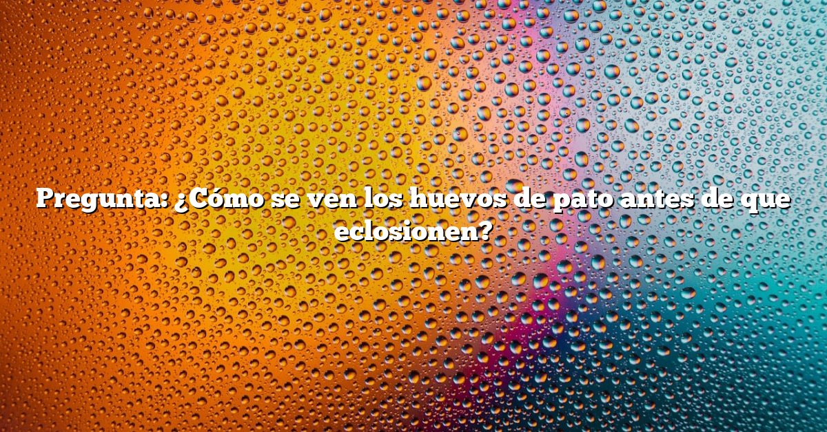 Pregunta: ¿Cómo se ven los huevos de pato antes de que eclosionen?