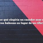 Pregunta: ¿Por qué elegiría un cazador usar una escopeta con babosas en lugar de un rifle?