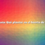 Pregunta: Qué plantar en el huerto de otoño