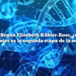 Pregunta: Según Elisabeth Kübler-Ross, ¿cuál de las siguientes es la segunda etapa de la muerte?
