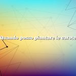 Quando posso piantare le carote