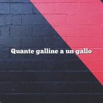 Quante galline a un gallo