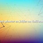 quoi planter en juillet en Californie