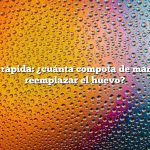 Respuesta rápida: ¿cuánta compota de manzana para reemplazar el huevo?