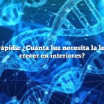 Respuesta rápida: ¿Cuánta luz necesita la lechuga para crecer en interiores?