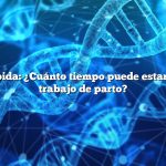 Respuesta rápida: ¿Cuánto tiempo puede estar una cabra en trabajo de parto?
