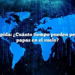 Respuesta rápida: ¿Cuánto tiempo pueden permanecer las papas en el suelo?