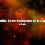 Respuesta rápida: Cómo deshacerse de los saltamontes en casa