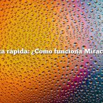 Respuesta rápida: ¿Cómo funciona Miracle Grow?