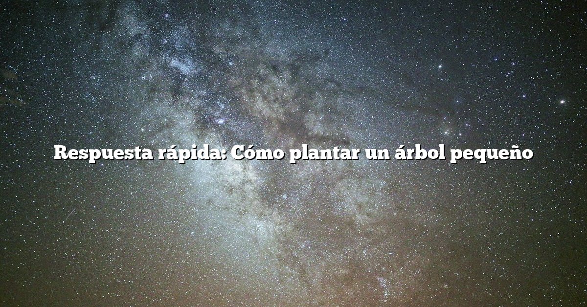 Respuesta rápida: Cómo plantar un árbol pequeño