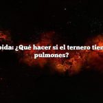 Respuesta rápida: ¿Qué hacer si el ternero tiene leche en los pulmones?