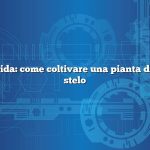 Risposta rapida: come coltivare una pianta di ibisco dallo stelo