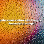 Risposta rapida: come evitare che l’acqua degli animali domestici si congeli