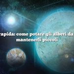 Risposta rapida: come potare gli alberi da frutto per mantenerli piccoli