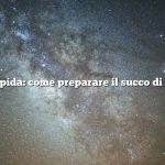 Risposta rapida: come preparare il succo di fico d’india