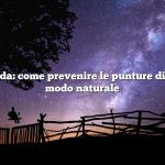 Risposta rapida: come prevenire le punture di moscerino in modo naturale