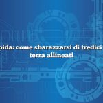 Risposta rapida: come sbarazzarsi di tredici scoiattoli di terra allineati