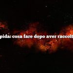 Risposta rapida: cosa fare dopo aver raccolto i fagiolini