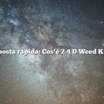 Risposta rapida: Cos’è 2 4 D Weed Killer