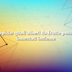 Risposta rapida: quali alberi da frutto possono essere innestati insieme