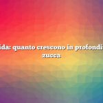 Risposta rapida: quanto crescono in profondità le radici di zucca