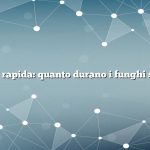 Risposta rapida: quanto durano i funghi shiitake?