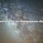 à quoi servent les champignons chaga