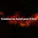 Combien un boeuf peut-il tirer