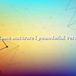 Come maturare i pomodorini verdi