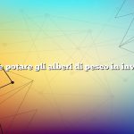 Come potare gli alberi di pesco in inverno