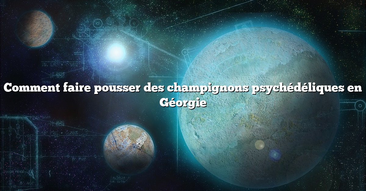Comment faire pousser des champignons psychédéliques en Géorgie