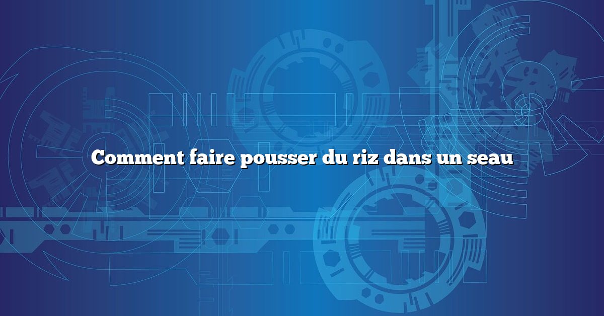 Comment faire pousser du riz dans un seau