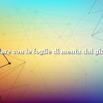 Cosa fare con le foglie di menta dal giardino