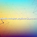 Cuándo recoger pepinos japoneses