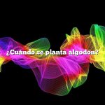 ¿Cuándo se planta algodón?