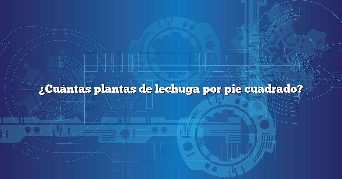 ¿Cuántas plantas de lechuga por pie cuadrado?