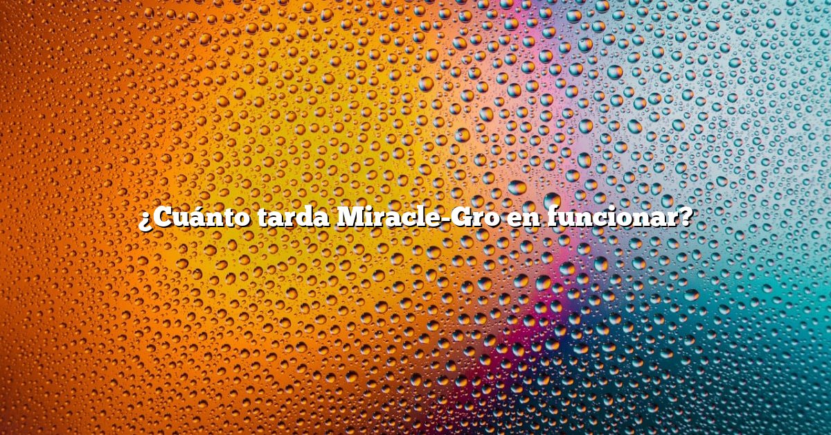 ¿Cuánto tarda Miracle-Gro en funcionar?