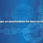 ¿Cuánto tiempo se mantendrán los huevos sin refrigerar?