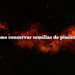 Cómo conservar semillas de pimiento