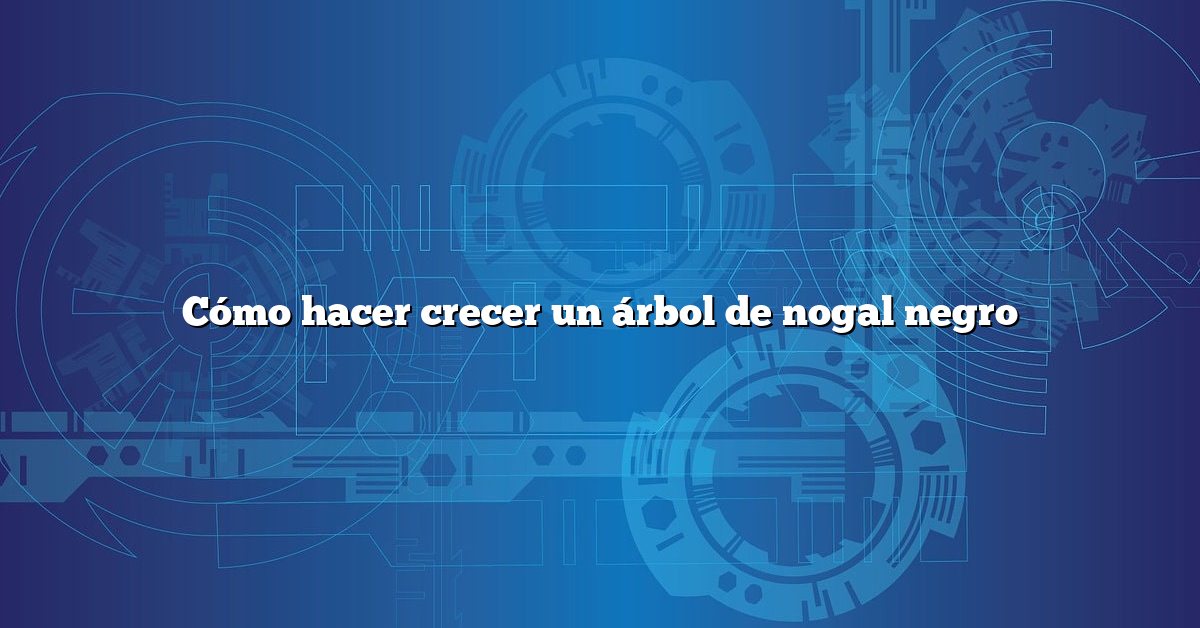 Cómo hacer crecer un árbol de nogal negro