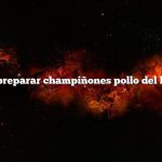 Cómo preparar champiñones pollo del bosque