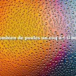 De combien de poules un coq a-t-il besoin