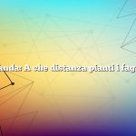 Domanda: A che distanza pianti i fagiolini